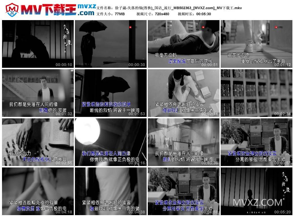 徐子崴-失落的缘(替换)_国语_流行_MB502363